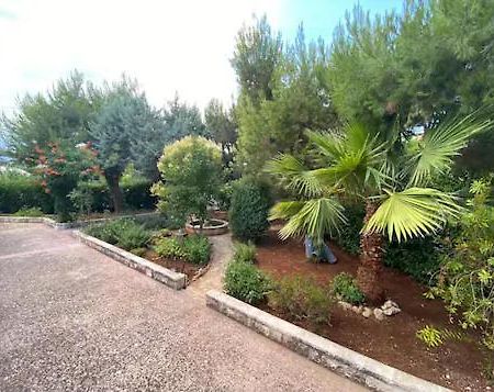 Villa Adelaide Ceglie Messapica Eksteriør bilde