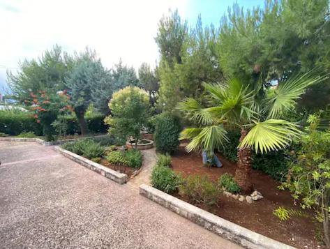 Villa Adelaide Ceglie Messapica Eksteriør bilde